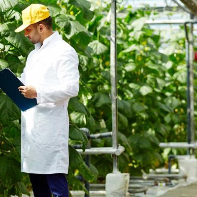 Sera Arıtma Sistemleri